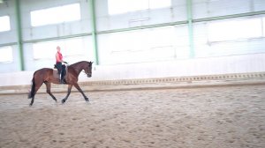 Саша первый раз верхом на Пасифике (тракененская кобыла, 4 года)