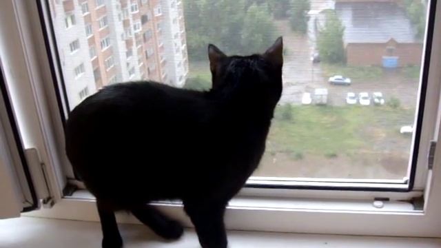 Испугалась грома смотреть онлайн
