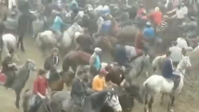 Uloq Uzbekiston 
Ruslan Polvon Сибиряк