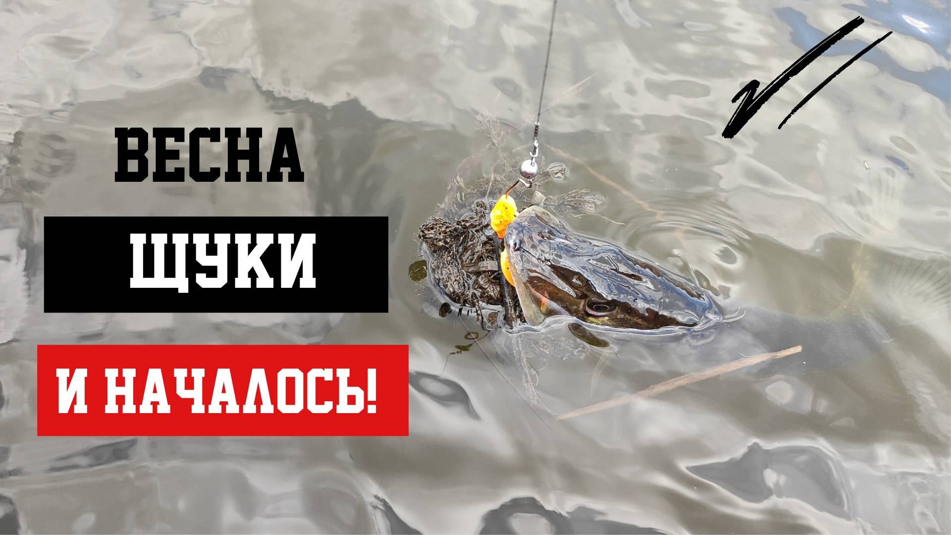 И НАЧАЛОСЬ! АЗАРТ БОРЬБЫ, БЛЕСК ЧЕШУИ НА СОЛНЦЕ, АДРЕНАЛИНОВЫЙ ВСПЛЕСК ОТ КАЖДОЙ ПОЙМАННОЙ ХИЩНИЦЫ смотреть онлайн