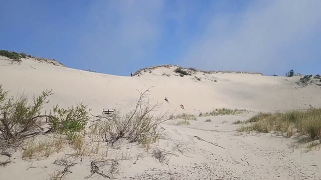 песчанные дюны на Балтийской косе смотреть онлайн