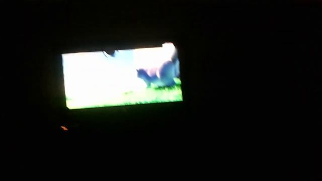 Продолжение мультика Большой кошачий поюег