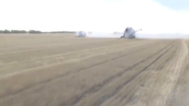 Многомиллионный штраф за нарушение почвенного покрова смотреть онлайн