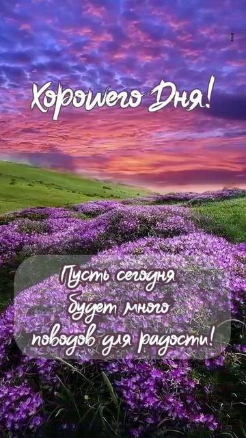 Добрый День ! смотреть онлайн