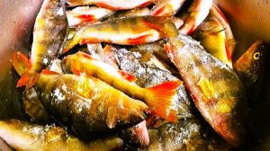 Уехал на поиски ОКУНЯ. От лунки не отойти!