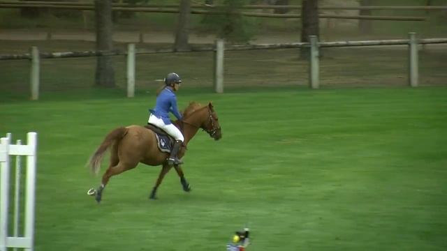 QADJARS QUEILLY'LIFE BIP CSIOP 2014 Ep12 As Poney 2D Gr1
