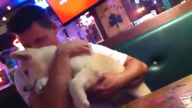 Keller at Kennedy's смотреть онлайн