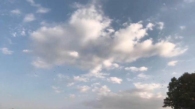 Weekend di sungai Tisa, Szeged, Hungary смотреть онлайн