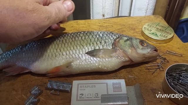 Как легко развесить рыбу на просушку. смотреть онлайн