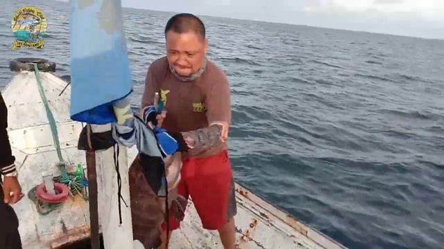 Mancing di kedalaman 200 meter dapat Jackpot Ruby Snapper - part 2 смотреть онлайн
