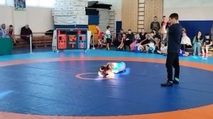 греко-римская борьба против вольной борьбы 23 февраля 2024 г.