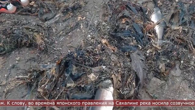 26.10.2022 Солнечное утро смотреть онлайн