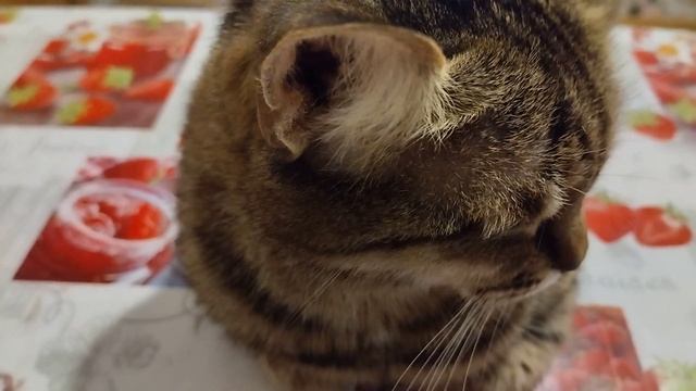 #кухня #анекдоты . запечённая картошка с яйцом 🔥🤗