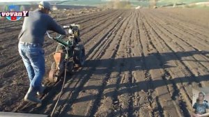 УДИВИТЕЛЬНАЯ РАБОТА МОТОБЛОКА И СЕЯЛКИ / AMAZING WORK OF THE WALK BEHIND TRACTOR AND SEEDER