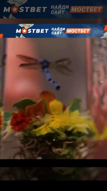 КАК ВЫ ДУМАЕТЕ, ЗА СКОЛЬКО У НЕЕ ВЗЯЛИ УНИКАЛЬНУЮ ВЕЩЬ? #ломбард #топ #shorts смотреть онлайн