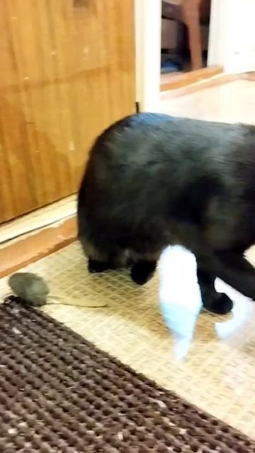 нужно сделать вид, что ничего не понимаю 🤣 смотреть онлайн