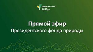 Прямой эфир Президентского фонда природы