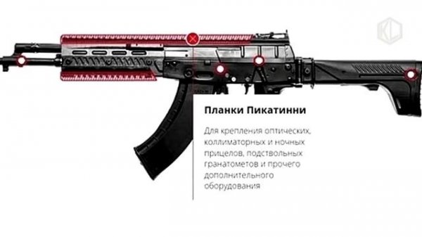 Kalashnikov AK 12 (AK 200) Assault Rifle,Russia