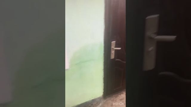 Весенняя уборка после дождей и слякоти… во что собаки превратили дом снаружи смотреть онлайн