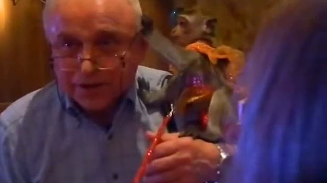 Обезьянка развлечёт ваших детишек- 8(965)380-13-11 смотреть онлайн