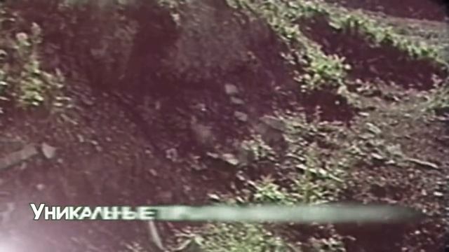 Санаторно Курортный комплекс РБ смотреть онлайн