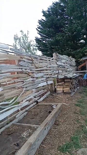 Cedar Fence смотреть онлайн