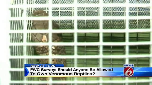 Should owning venomous reptiles be allowed? смотреть онлайн