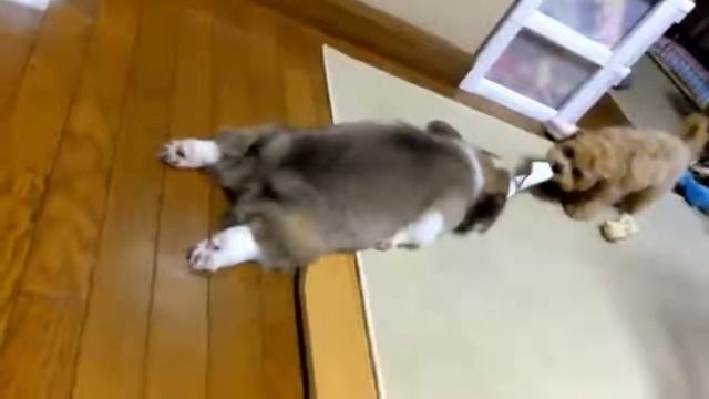 А, ну ка, отними! смотреть онлайн