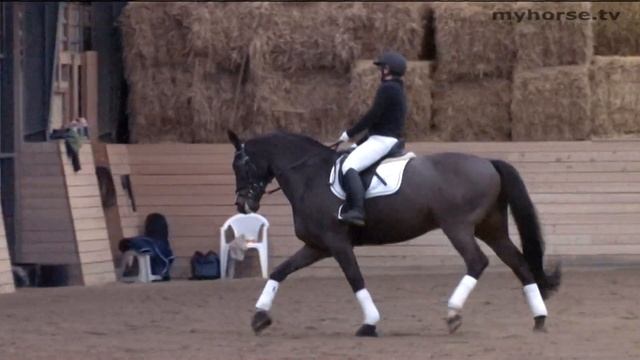 Dressur med Lena - Schenkelvigning - Del 2/3 смотреть онлайн