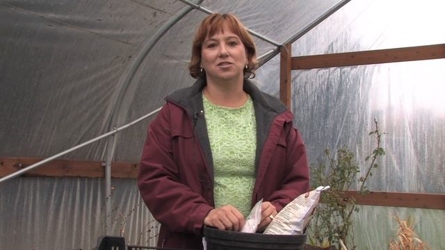 Tree & Plant Care : How to Grow Hollyhocks смотреть онлайн