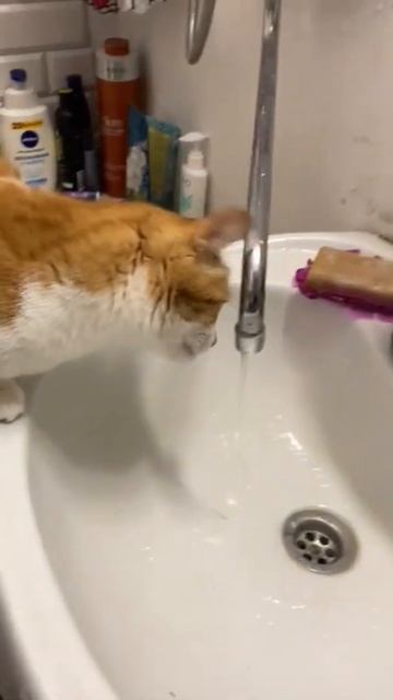 Учкудук смотреть онлайн