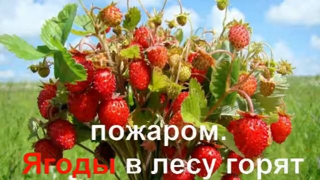 072 КАРАОКЕ для ДЕТЕЙ Песенка О Лете смотреть онлайн