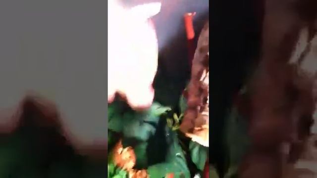 Changed the look of my terrarium смотреть онлайн