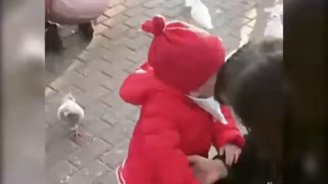 Дівчинка зловила голуба смотреть онлайн