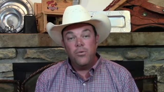 Cattle Market Summary: Tea in China or Greek Economy? смотреть онлайн