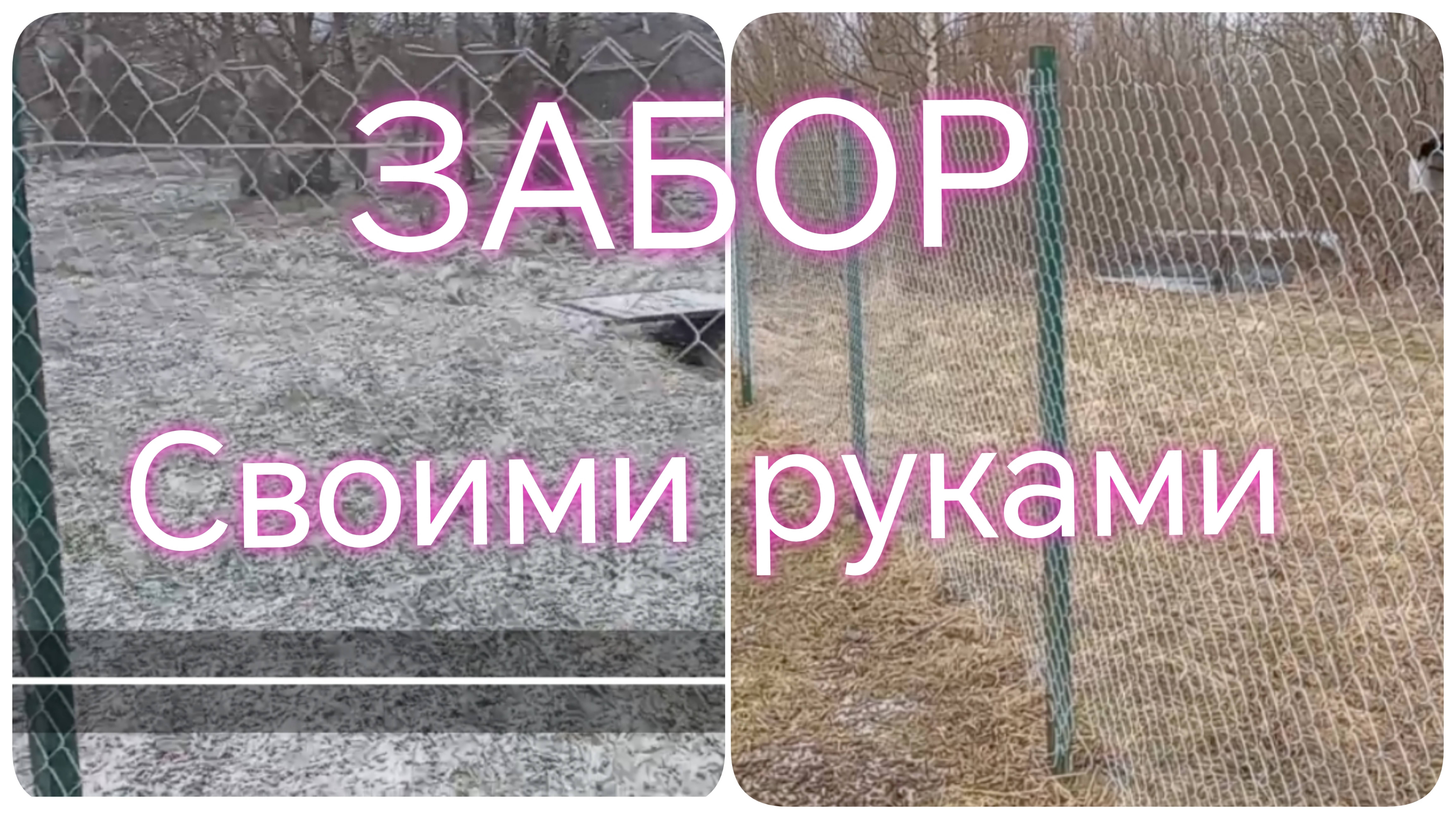 Забор из сетки рабицы ///Забор своими руками смотреть онлайн