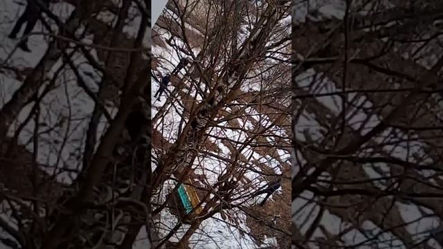 Развлечения для взрослых) смотреть онлайн