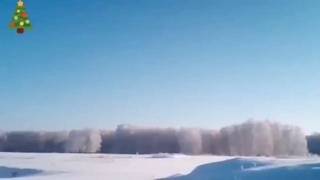 Зимний Лес. видио моё (ТКА) смотреть онлайн