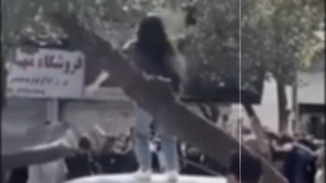 Shahin Najafi - Hashtadia شاهین نجفی - هشتادیا