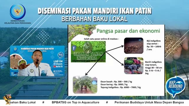 Potensi Indigofera Sebagai Pakan Ikan | Botia TV Partner смотреть онлайн