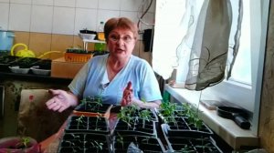 Переселение состоялось...Макеевка ДНР Россия .