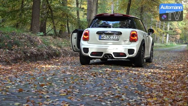 2016 MINI JCW (Pro Exhaust) - Autumn DRIVE (60FPS) смотреть онлайн