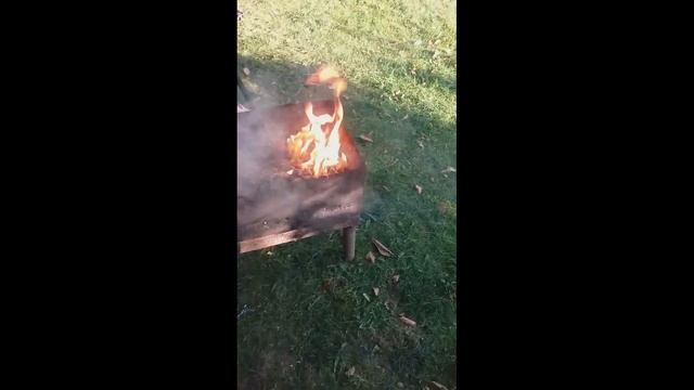 Барбекю...)))