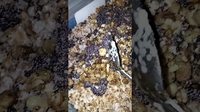 праздничная Кутя