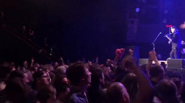 Gogol Bordello, Passport