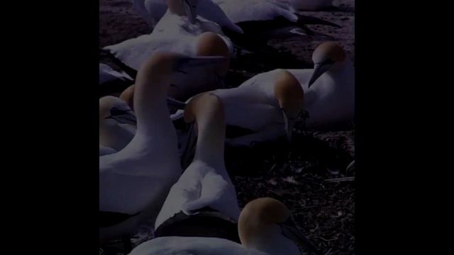 С добрым утром! смотреть онлайн