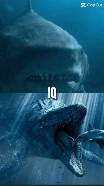 Megalodon vs ￼ mosasaurs. смотреть онлайн