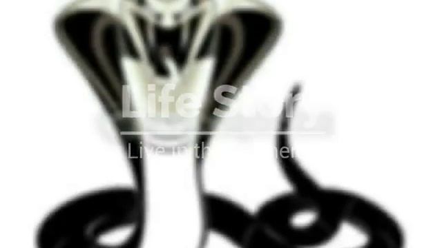 intro kobra killeur смотреть онлайн