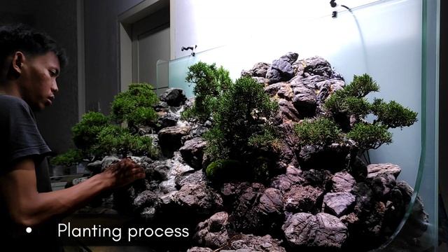 Step by step | New inspiration | Bonsai cliff | Nickz aquascape смотреть онлайн