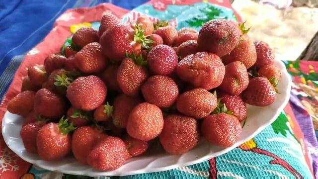 ТЕТЯ НАТАЛА И ЛЯЛЯ НА ДАЧЕ смотреть онлайн
